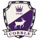 Cobblestone