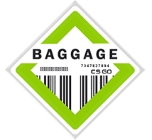 Коллекция «Baggage»